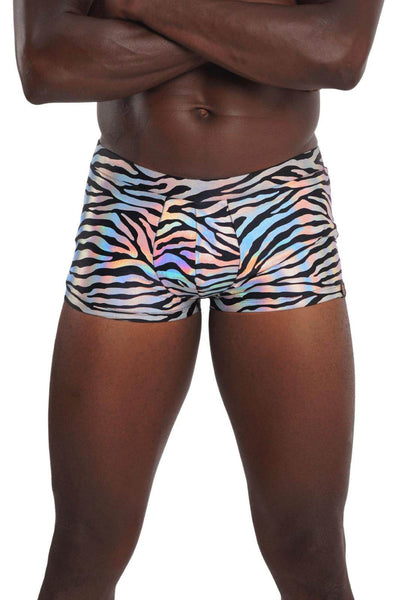 Holographic Silver Zebra Print Mens Booty Shorts with a pouch from Love Khaos